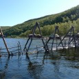 Tanavassdragets fiskeforvaltning betaler i disse dager ut utbytte til fiskerettshaverne i tanavassdraget (laksebreveierne). Ubrukte driftsmidler det enkelte år skal fordeles med 75 % til de fiskeberettigede, jf. § 3 i Forskrift om lokal fiskeforvaltning i Tanavassdraget, og 25 % til et avsetningsfond,...