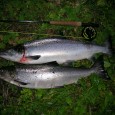 Relevante forskning- og overvåknings resultater viser en markant nedgang i laksebestandene i Tanavassdraget. Styret i Tanavassdragets fiskeforvaltning (TF) ser det av den grunn nødvendig å sette inn fiskebesparende tiltak for sesongen 2012.