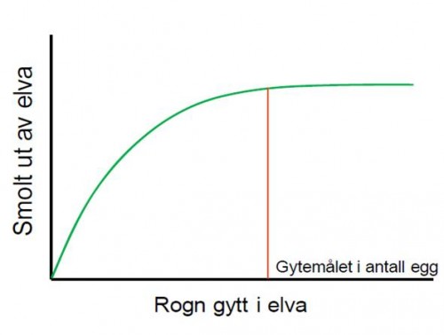 Gytebestandsmål kurve