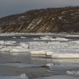 Det drar seg til mot ny fiskesesong. Tanavassdragets fiskeforvaltning (TF) har denne uka utstyrt våre kortselgere med skjema til fangstrapportering. I år vil ikke den klassiske fangstdagboka bli lever ut. Fiskere som ikke ønsker å rapportere fangsten elektronisk gjennom scanatura,...